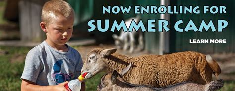 With over 5,000 animals from 350 different species and a huge number of free talks, shows and activities, there's always something new to see and do when you visit. petting zoo | Farm fun, Halloween attractions, Halloween ...