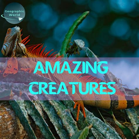 Unrealistic Amazing Creatures That Actually Exists On Earth