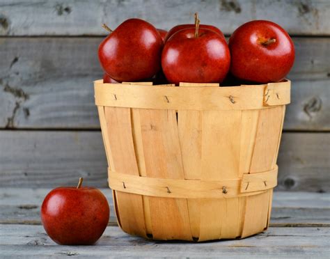 Free Images : apple, nature, farm, fruit, orchard, food, red, harvest ...
