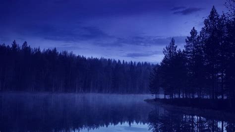 Download Wallpaper 1920x1080 Water Forest Beach Night Reflection