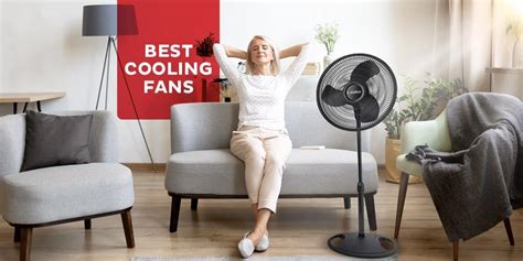 Choose The Best Cooling Fan For 2021 Max Warehouse Max Warehouse