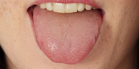 That Map Of Tastes On The Tongue That You Learned In School Has No Scientific Basis Huffpost