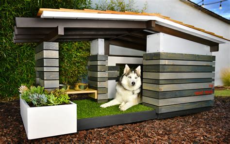Modern Dog House Mid Century Ranch — Pijuan Design Workshop