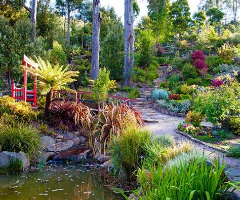 Jessies Magnificent Native Australian Garden Australian House And Garden