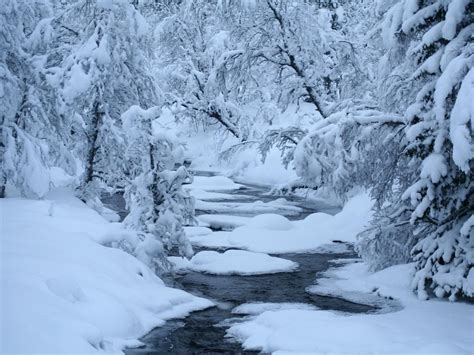 Winter River Snow Trees Best Hd Desktop Wallpaper Widescreen High