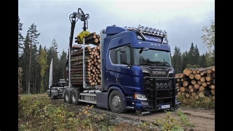 Scania R650 6x4 Timber Truck Loading 4k Youtube