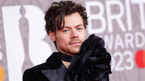 Harry Styles Alleged Stalker Sent Singer 8000 Cards Court Told Uk