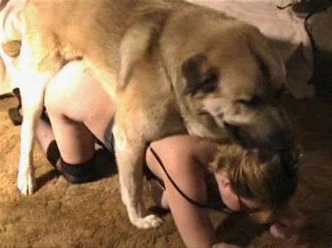 Busty Librarian And Her Doggy Are Having A Good Beastiality Action