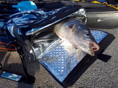 Feelfree Fish Cooler Bag On Kayak Storage Options