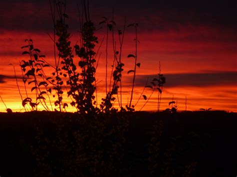 Free Images Horizon Cloud Sun Sunrise Sunset Sunlight Morning