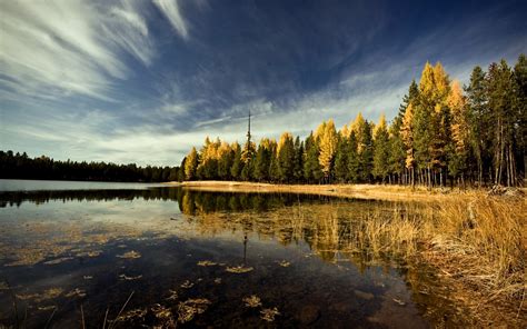 Landscape Forest Lake Sky Trees Leaves Wallpapers Hd
