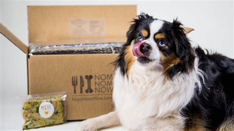 With dog food delivery services, you get fresh dog food specifically designed to suit your dog's calorie needs and help keep your dog healthy. A food delivery service for dogs just launched in Seattle ...