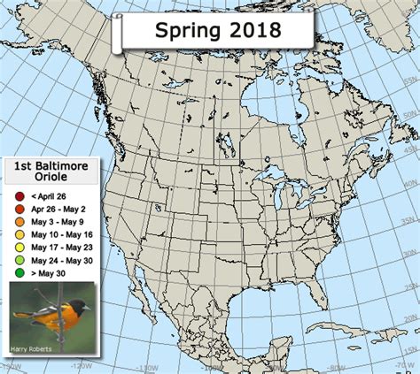 Journey North Migration Map Gallery For Spring 2018