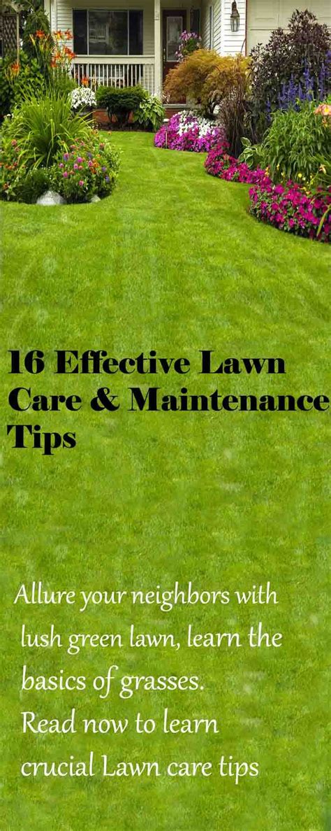 1000 Images About Lawn Care On Pinterest Lawn Lawn Care And Lawn