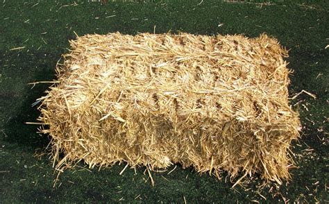 Wheat Straw Conventional Bale