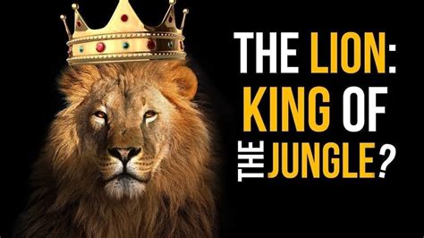 The Lion King Of The Jungle David Rives The Creation Club A