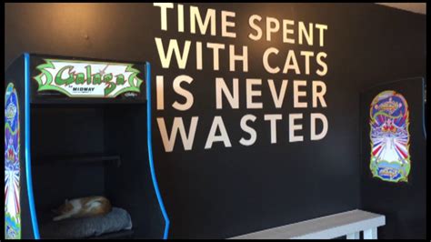 If you've never been to one of these unique spots, this one is a good place to start. Chicago's First Cat Cafe Gives Cats a Second Chance