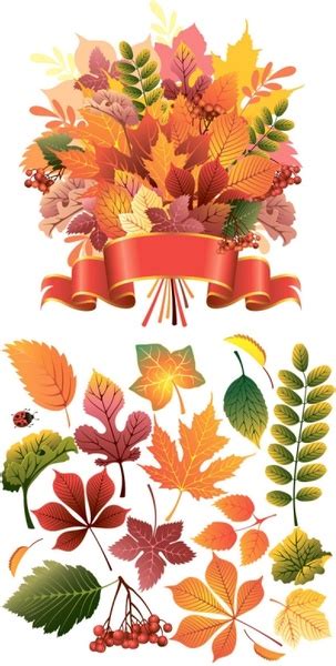 Beautiful Autumn Leaves Vector Vectors Graphic Art Designs In Editable