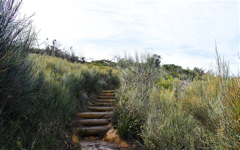 The Beautiful Bouddi National Park Coastal Walk Lesterlost