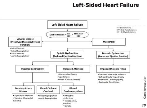 Chf Left Sided Heart Failure Differential Diagnosis Grepmed