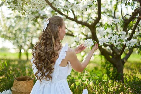 The Beautiful Girl The Blonde In The Blossoming Apple Trees Garden Stock Image Image Of Smile