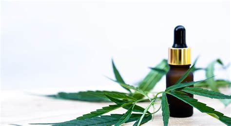 And of course, there is a large group of. Is CBD Oil Legal In Australia in 2020? | Pondering Pot