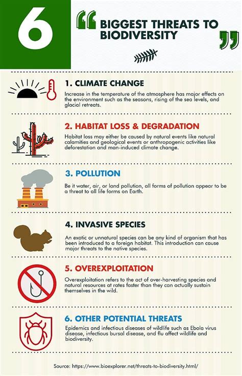 Threats To Biodiversity 6 Major Loss Of Biodiversity Bioexplorer