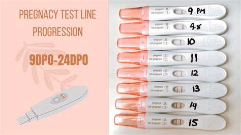Pregnancy Test Line Progression 9dpo 24dpo Positive Pregnancy Test