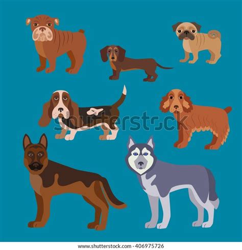 Vector Illustration Dog Breed Set Flat Stock Vector Royalty Free