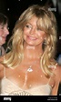 Dec 04, 2005; New York, NY, USA; Actress GOLDIE HAWN at the Museum of ...