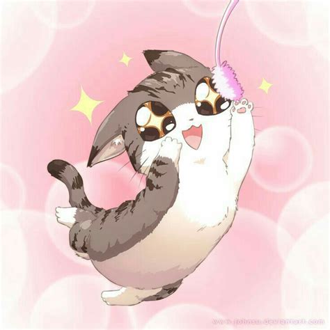 Nơi Xả ảnh Của Tớ Đd Cute Anime Cat Kawaii Cat Anime Animals