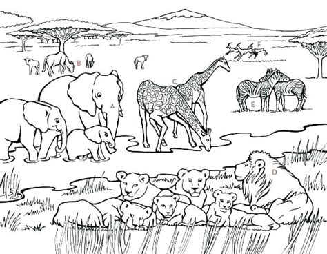 South Africa Coloring Pages Coloring Pages