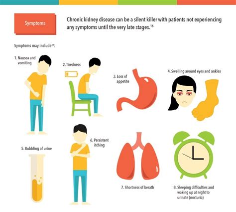 Early Signs And Symptoms Of Chronic Kidney Disease Recognize Disease