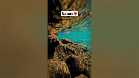 Nature ️ Fresh Waters😘 Youtube