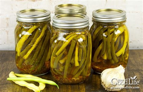 Ball Canning Recipe Dilly Beans