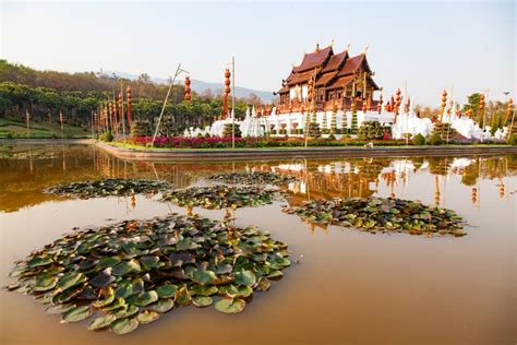 Royal Flora Ratchaphruek Park Chiang Mai Thailand Stock Image Image