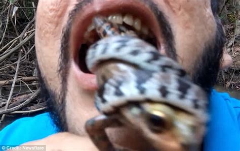 Snake Ninja Places Venomous Snake And Frog In His Mouth