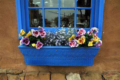 Incidentally, this plant will do okay in partial shade, though it won't produce as many flowers as it will in full sun. Flowering Window Box Ideas That Work for Sunny Gardens