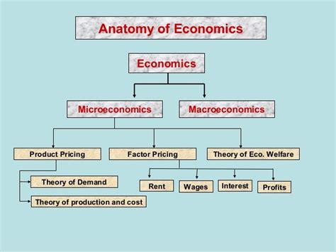 Concept Map Economics