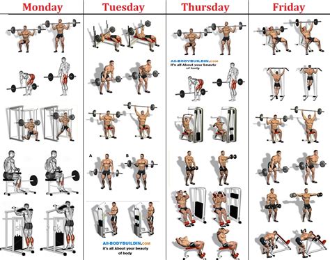 The Day A Week Beginners Workout All Bodybuilding Com