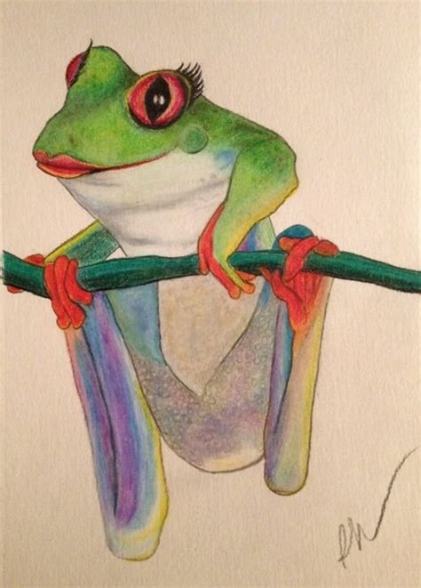 Froggy Lady My Colored Pencil Exploration And Frogs Rule Frog