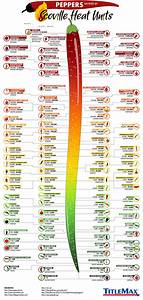 Peppers Ranked By Scoville Heat Units Titlemax Stuffed Peppers