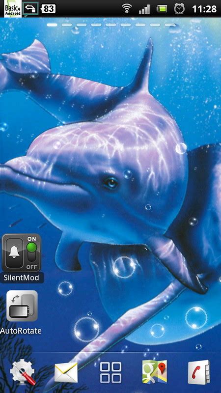 Free Dolphin Live Wallpaper Free Android Live Wallpaper