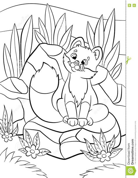 Coloring Pages Wild Animals Little Cute Baby Fox Looks