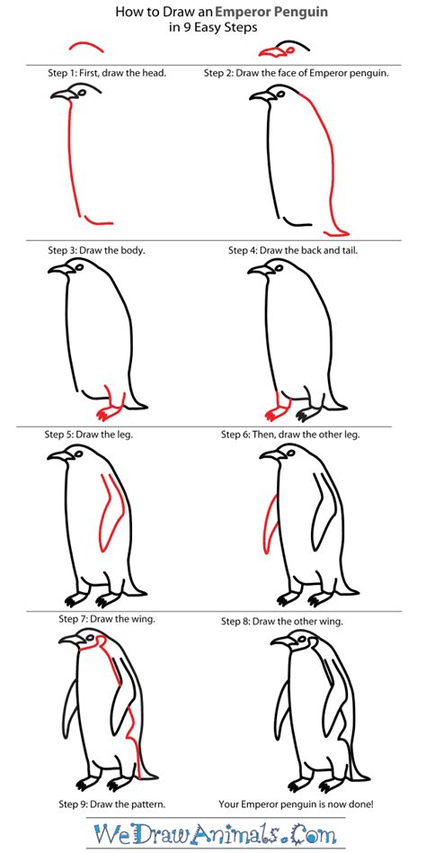 How To Draw A Penguin Step By Step