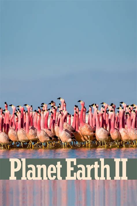 Watch Planet Earth 2 S1e5 Planet Earth 2 2016 Online Free Trial