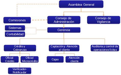 Organigrama Institucional Coac Uni N Popular