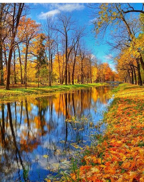 Fall Flare Autumn Scenery Autumn Landscape Beautiful Nature