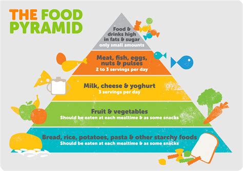 Food Pyramid Science
