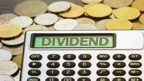 What Is Dividend Payout Ratio All You Need To Know